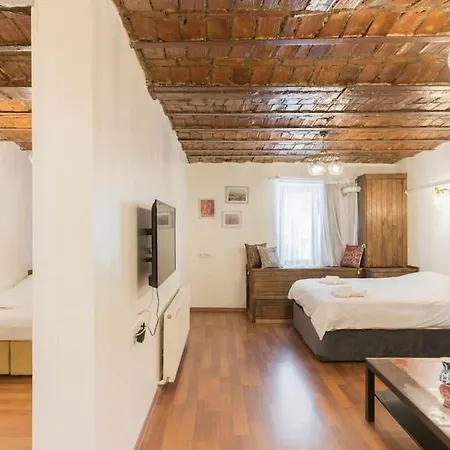 Beautiful 1 Bedroom Apt. W/ac 400 Meters Taksim Square * イスタンブール